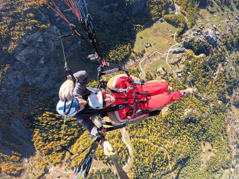 Zermatt from above